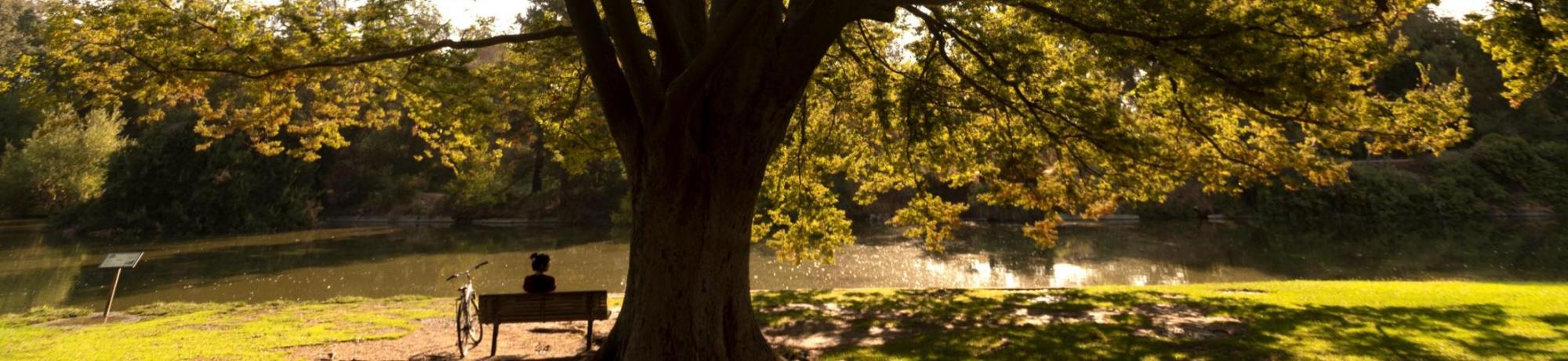 Person sitting on bench looking at a lake