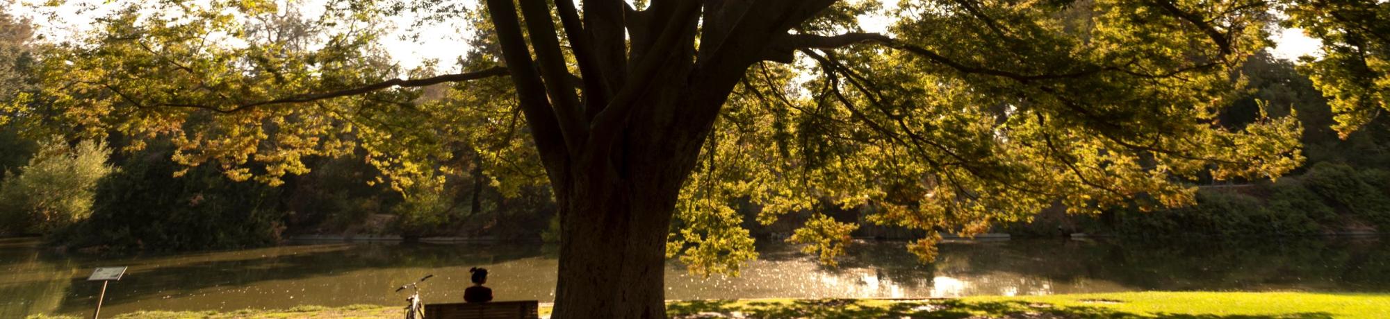 Person sitting on bench looking at a lake